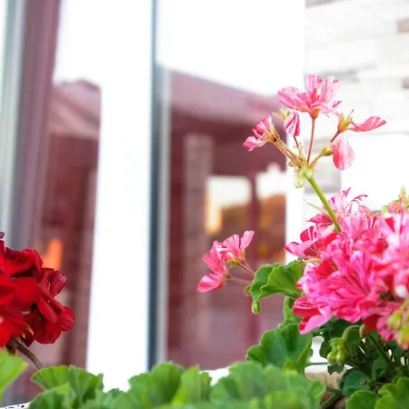 Appart hôtel Spiridoula's Corfu 4*