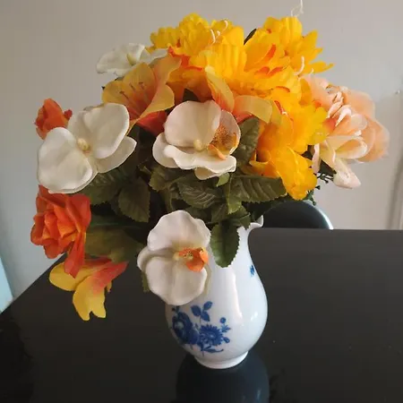 Appart hôtel Spiridoula's Corfu Perama (Corfu)