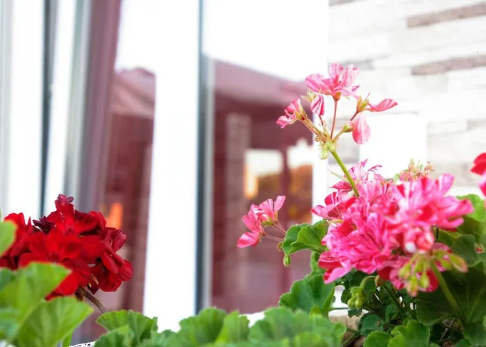 Hotel de apartamente Spiridoula's Corfu 4*
